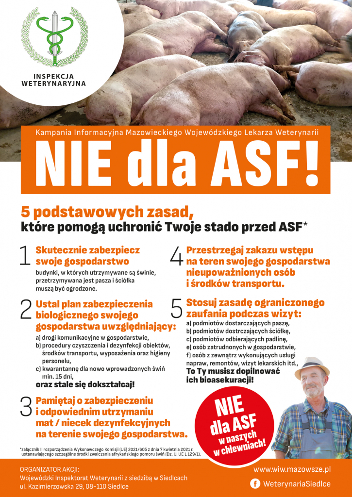 „Nie dla ASF! 5 podstawowych zasad, które pomogą uchronić Twoje stado przed ASF