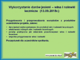 News zdjęcie id 430